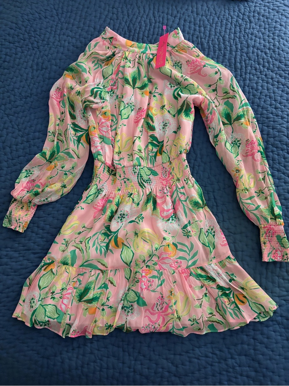 Lilly Pulitzer Ellielyn Long Sleeve Dress - Picture 1 of 6